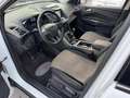 Ford Kuga Kuga 1.5 TDCI 120 CV S&S 2WD Plus Weiß - thumbnail 5