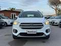 Ford Kuga Kuga 1.5 TDCI 120 CV S&S 2WD Plus Weiß - thumbnail 1