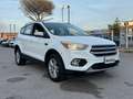 Ford Kuga Kuga 1.5 TDCI 120 CV S&S 2WD Plus Weiß - thumbnail 2