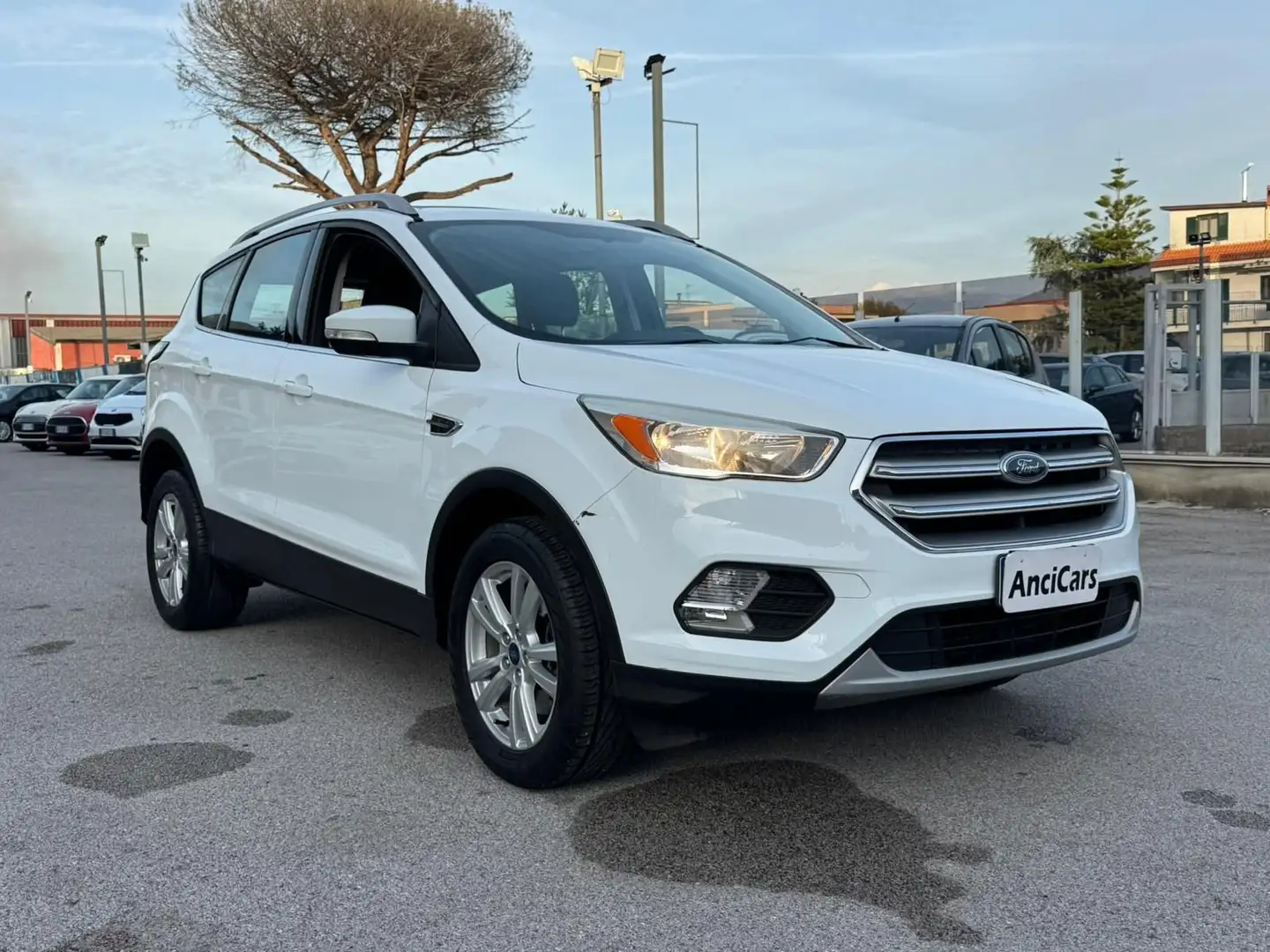 Ford Kuga Kuga 1.5 TDCI 120 CV S&S 2WD Plus Weiß - 2