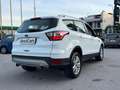 Ford Kuga Kuga 1.5 TDCI 120 CV S&S 2WD Plus Weiß - thumbnail 16