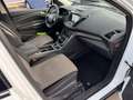 Ford Kuga Kuga 1.5 TDCI 120 CV S&S 2WD Plus Weiß - thumbnail 9
