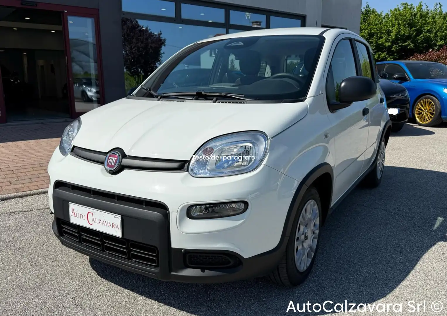 Fiat Panda 1.0 FireFly S&S Hybrid / GW371CT Bianco - 1