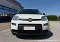 Fiat Panda 1.0 FireFly S&S Hybrid / GW371CT Bianco - thumbnail 3
