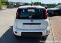 Fiat Panda 1.0 FireFly S&S Hybrid / GW371CT Bianco - thumbnail 7
