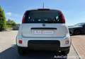 Fiat Panda 1.0 FireFly S&S Hybrid / GW371CT Bianco - thumbnail 6