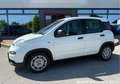 Fiat Panda 1.0 FireFly S&S Hybrid / GW371CT Bianco - thumbnail 2