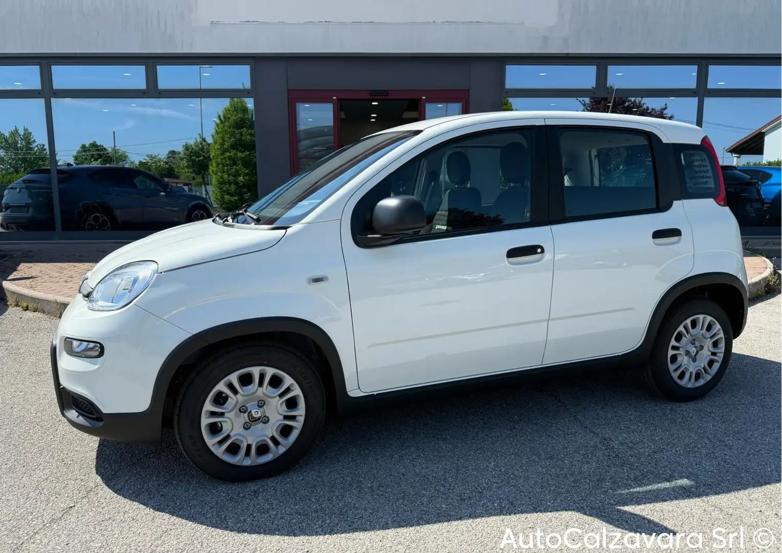 Fiat Panda 1.0 FireFly S&S Hybrid / GW371CT Bianco - 2
