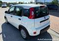 Fiat Panda 1.0 FireFly S&S Hybrid / GW371CT Bianco - thumbnail 5