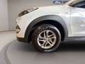 Hyundai TUCSON 1.7 crdi Comfort 2wd 115cv Bílá - thumbnail 7