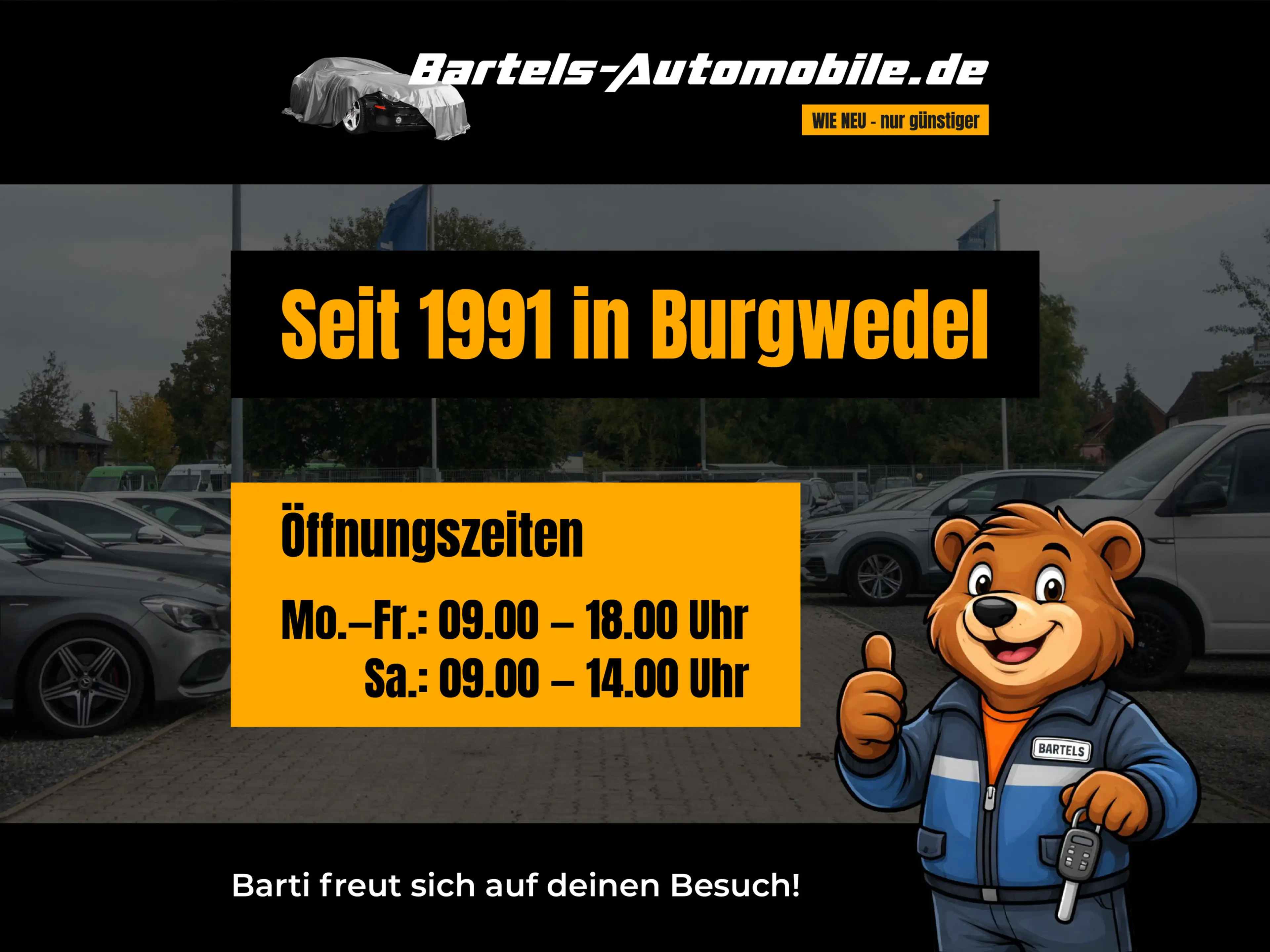 BMW 335 dA xDrive Advantage, Standheiz. — photo 15