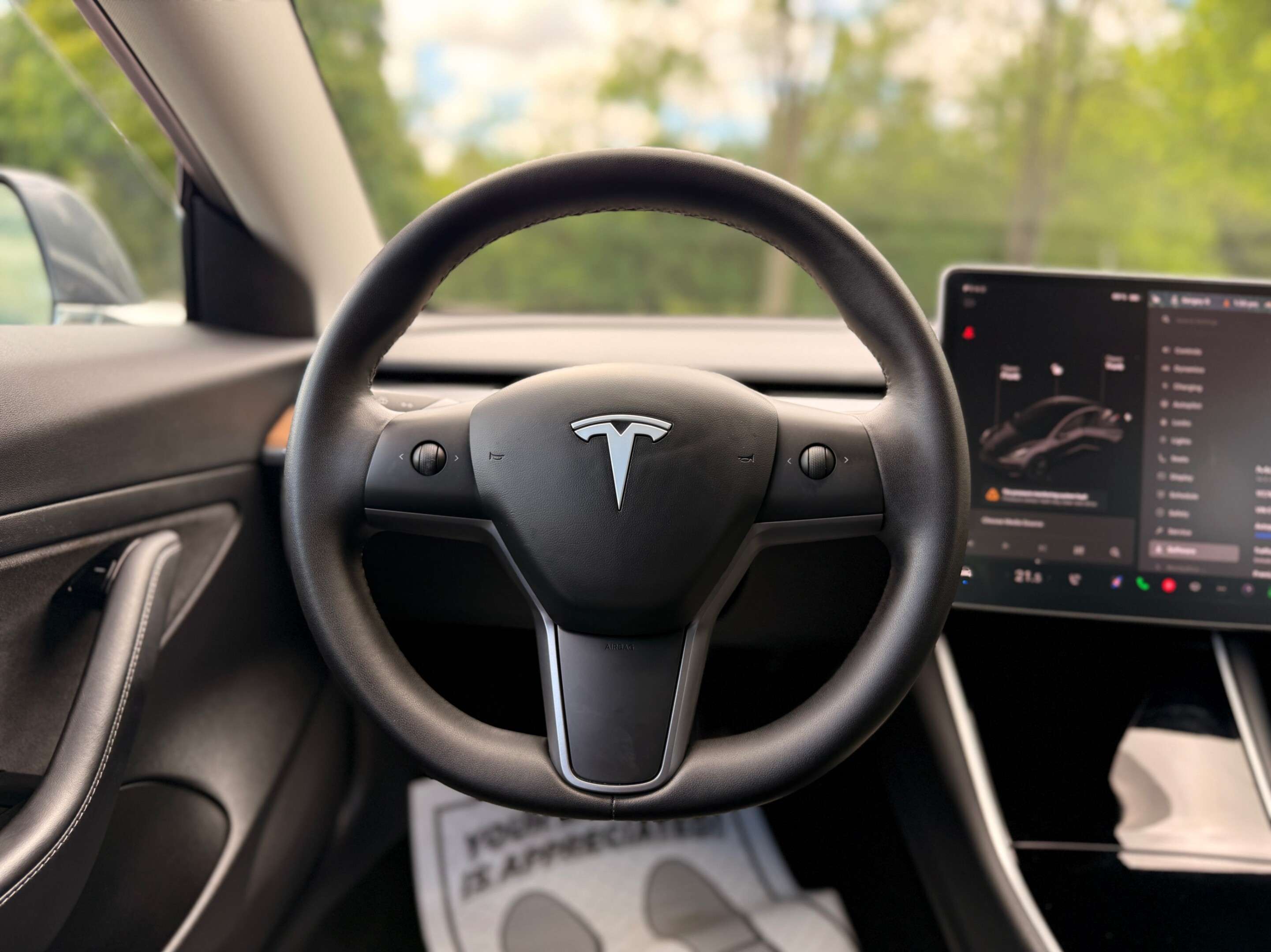 2020 Tesla Model 3 Standard Range Plus RWD thumb 14