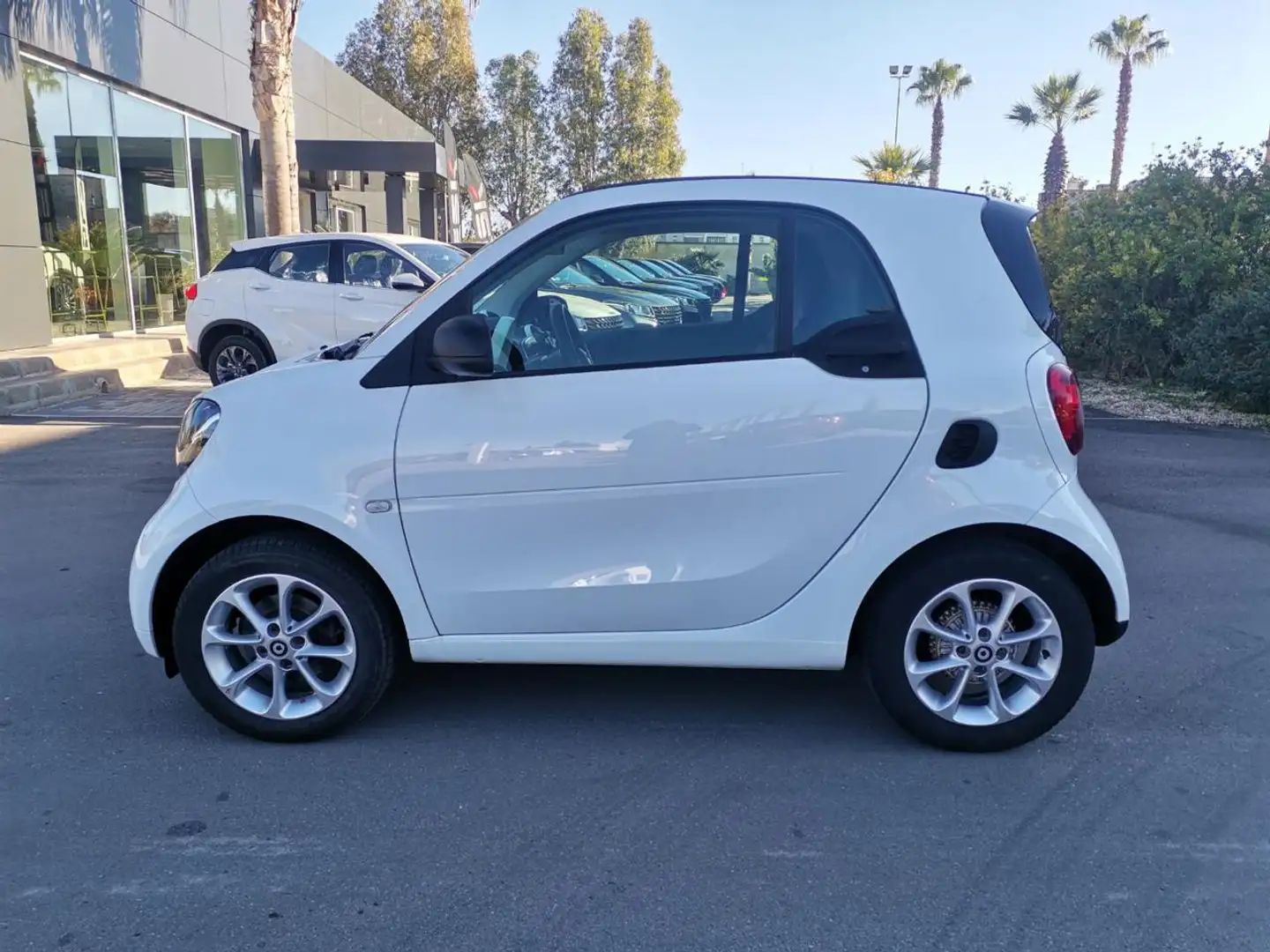 smart forTwo 70 1.0 twinamic AUTOMATICA Bianco - 2