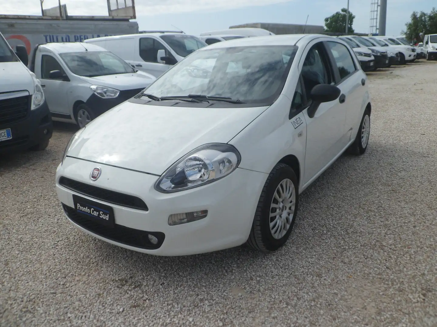 Fiat Punto 5 posti autocarro Alb - 1