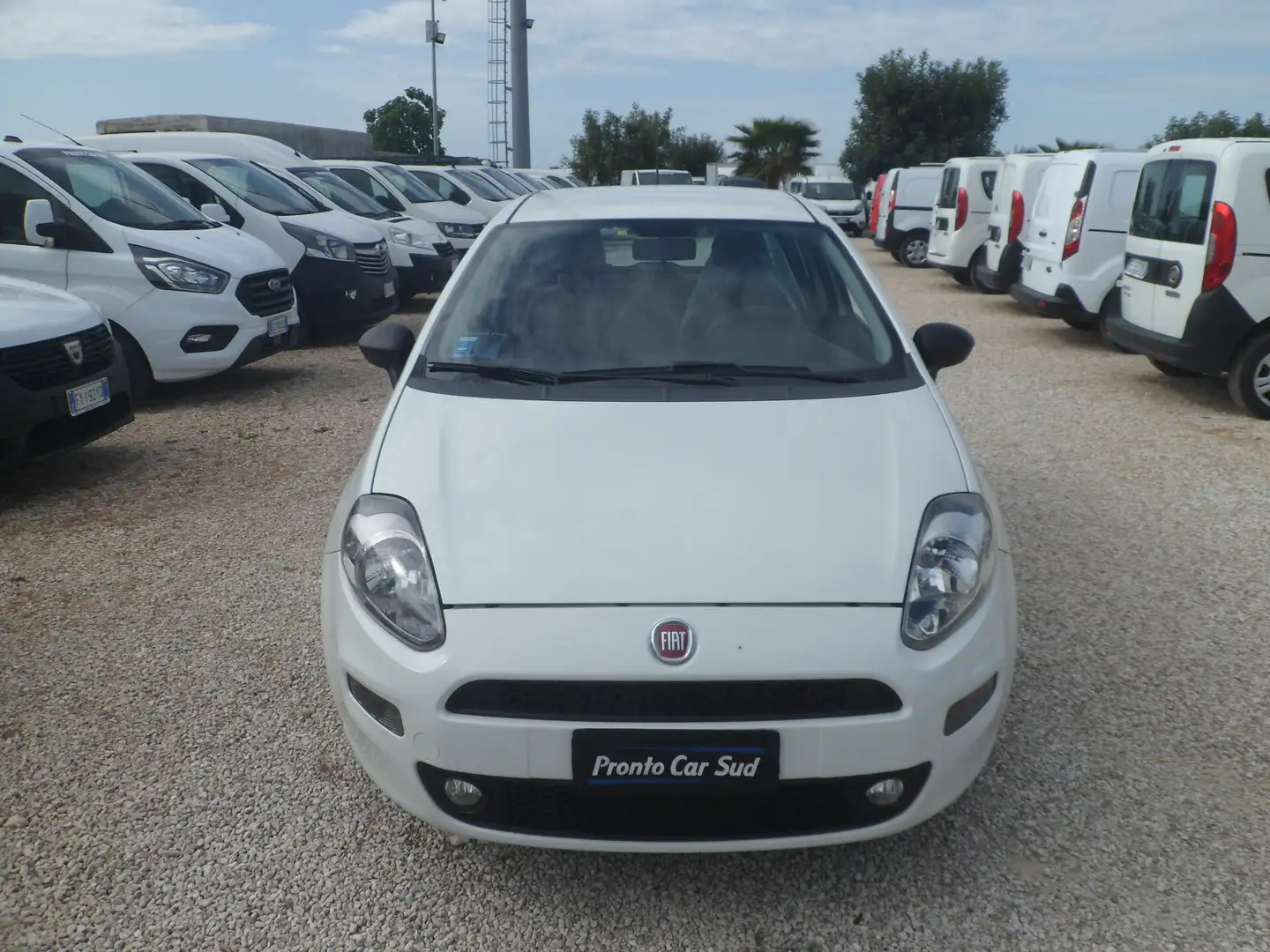Fiat Punto 5 posti autocarro Alb - 2