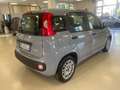 Fiat Panda Panda III 2021 1.0 firefly hybrid s Grigio - thumbnail 4