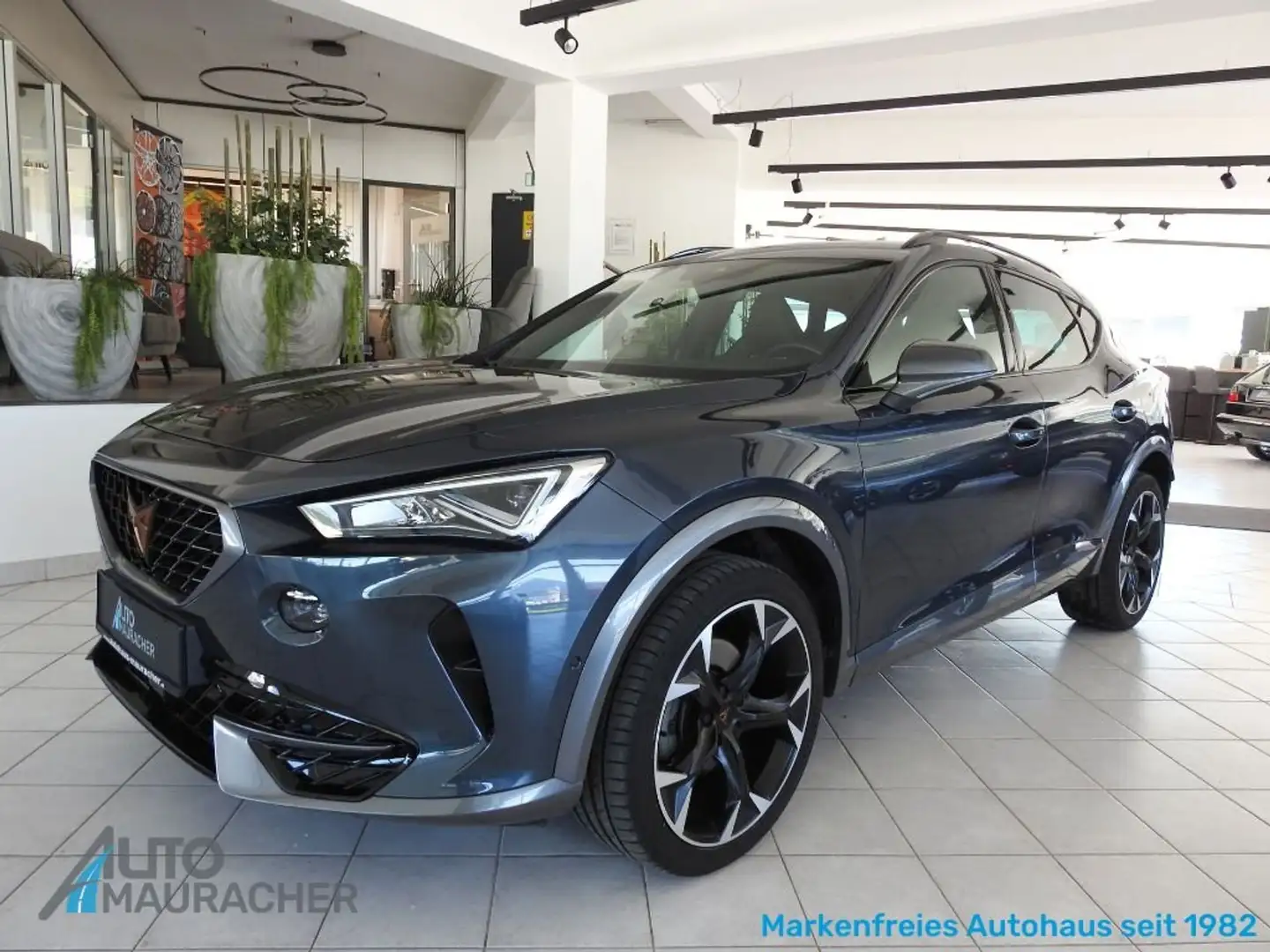 CUPRA Formentor 2.0 TDI 4Drive DSG*LED*KAMERA*ACC* Grau - 1