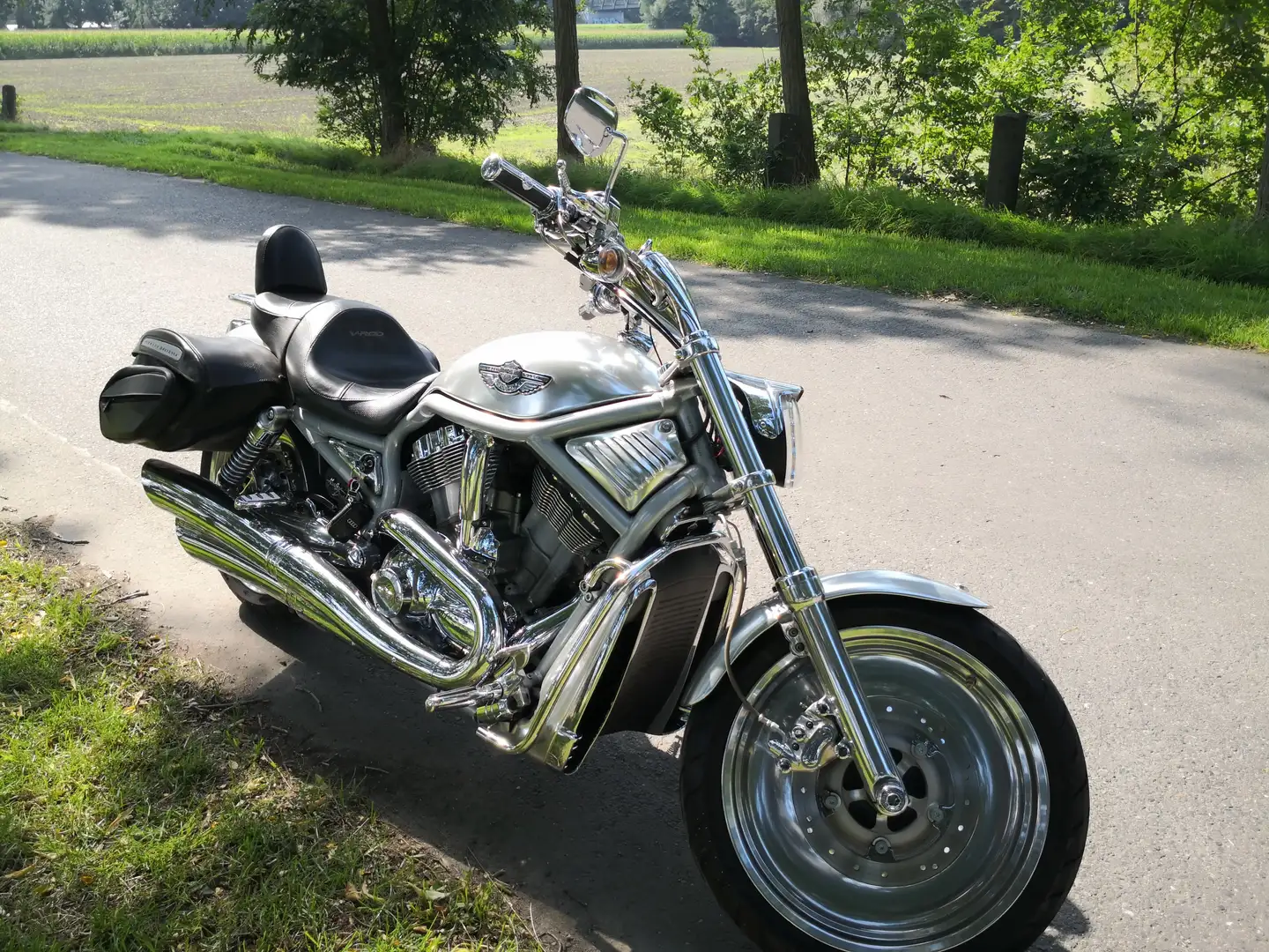 Harley-Davidson V-Rod vrsca Argintiu - 2
