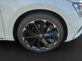 Skoda Superb Combi 2.0 TDI Sportline 4x4 AHK StHz Pano Weiß - thumbnail 14