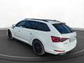 Skoda Superb Combi 2.0 TDI Sportline 4x4 AHK StHz Pano Weiß - thumbnail 8