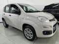 Fiat New Panda Panda 0.9 TwinAir Turbo Natural Power Easy Nero - thumbnail 2