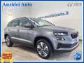 Skoda Karoq 2.0 TDI EVO SCR 115 CV DSG Executive Grau - thumbnail 1