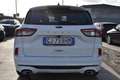 Ford Kuga 1.5 EcoBlue 120 CV aut. 2WD ST-Line Weiß - thumbnail 5