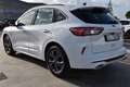 Ford Kuga 1.5 EcoBlue 120 CV aut. 2WD ST-Line Weiß - thumbnail 6