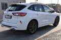 Ford Kuga 1.5 EcoBlue 120 CV aut. 2WD ST-Line Weiß - thumbnail 4