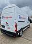 Renault Master 2.3 dCi 35 L2H3 / Automatique / étagère incl Blanc - thumbnail 5