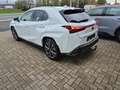 Lexus UX 250h AWD F-SPORT LINE +LEDER +Mark Levinson +360°Cam Blanc - thumbnail 4