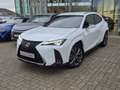 Lexus UX 250h AWD F-SPORT LINE +LEDER +Mark Levinson +360°Cam Blanc - thumbnail 1