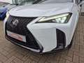 Lexus UX 250h AWD F-SPORT LINE +LEDER +Mark Levinson +360°Cam Blanc - thumbnail 10