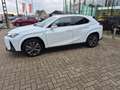 Lexus UX 250h AWD F-SPORT LINE +LEDER +Mark Levinson +360°Cam Blanc - thumbnail 3