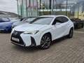 Lexus UX 250h AWD F-SPORT LINE +LEDER +Mark Levinson +360°Cam Blanc - thumbnail 2