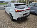 Lexus UX 250h AWD F-SPORT LINE +LEDER +Mark Levinson +360°Cam Blanc - thumbnail 5