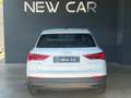 Audi Q3 35 TDI S tronic Business Bianco - thumbnail 4