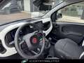 Fiat Panda Cross 1.0 FireFly S&S Hybrid Blu/Azzurro - thumbnail 13