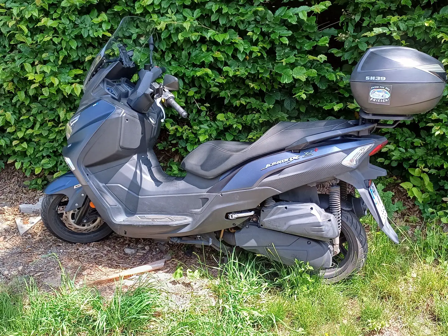 SYM Joymax 125i Grau - 1