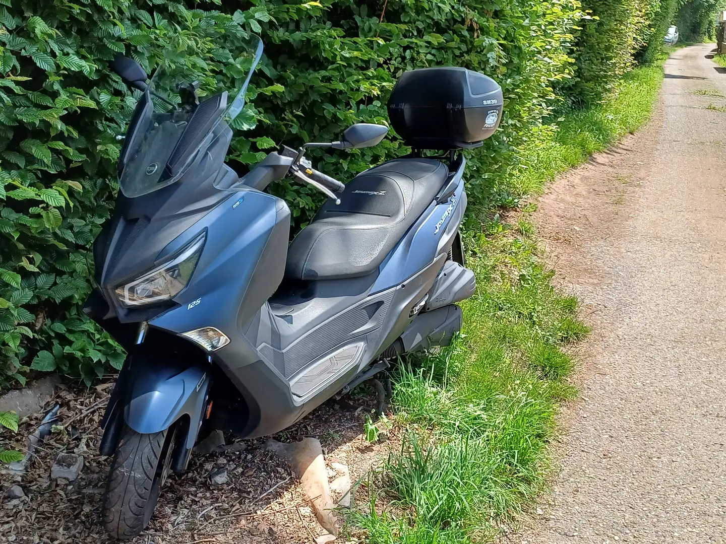 SYM Joymax 125i Grau - 2
