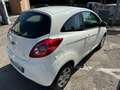 Ford Ka/Ka+ Ka II 3p s/esp,tcs 69cv E5,UNICO PROP.,69.000km,CL Bianco - thumbnail 3