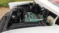 Buick Roadmaster 1954 Buick Special Cabriolet Weiß - thumbnail 25