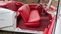 Buick Roadmaster 1954 Buick Special Cabriolet Weiß - thumbnail 46