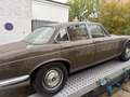 Oldtimer Jaguar XJ6 Serie 1 Braun - thumbnail 8