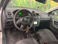 Skoda Fabia Fabia 1.2 TDI Greenline Zilver - thumbnail 17