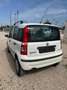 Fiat Panda Panda II 2003 1.2 natural power Dynamic Mamy Bianco - thumbnail 10