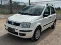 Fiat Panda Panda II 2003 1.2 natural power Dynamic Mamy Bianco - thumbnail 2