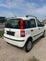 Fiat Panda Panda II 2003 1.2 natural power Dynamic Mamy Bianco - thumbnail 9