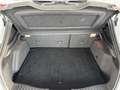 Ford Focus 2,0 EcoBoost ST *Kamera*Leder*Nebel * Weiß - thumbnail 13