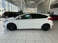 Ford Focus 2,0 EcoBoost ST *Kamera*Leder*Nebel * Weiß - thumbnail 7